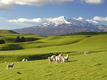 landerinfo-neuseeland-wohnmobil-ferien