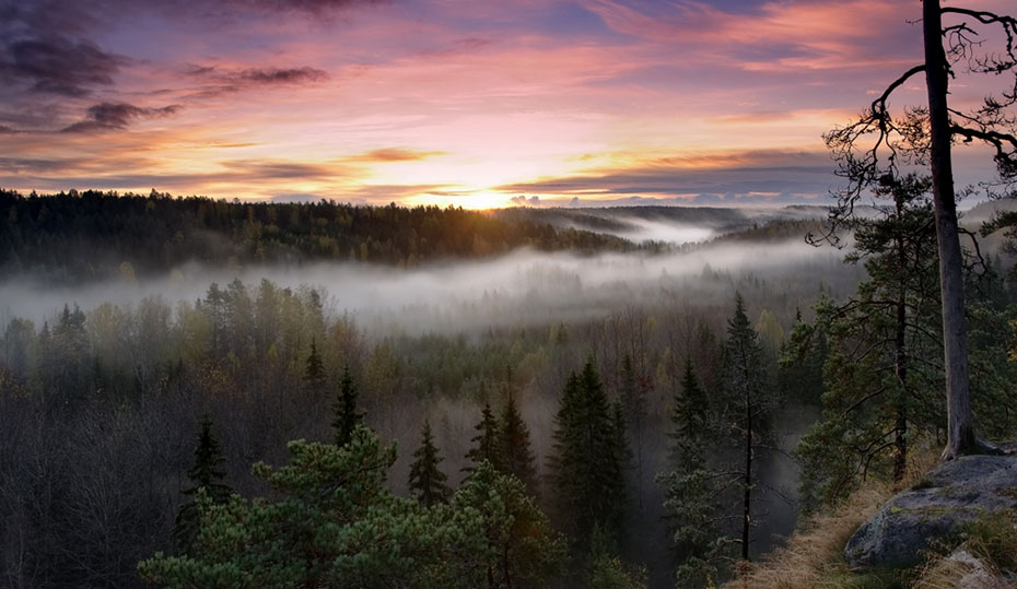 Traumlandschaft Finnland Campingplatz